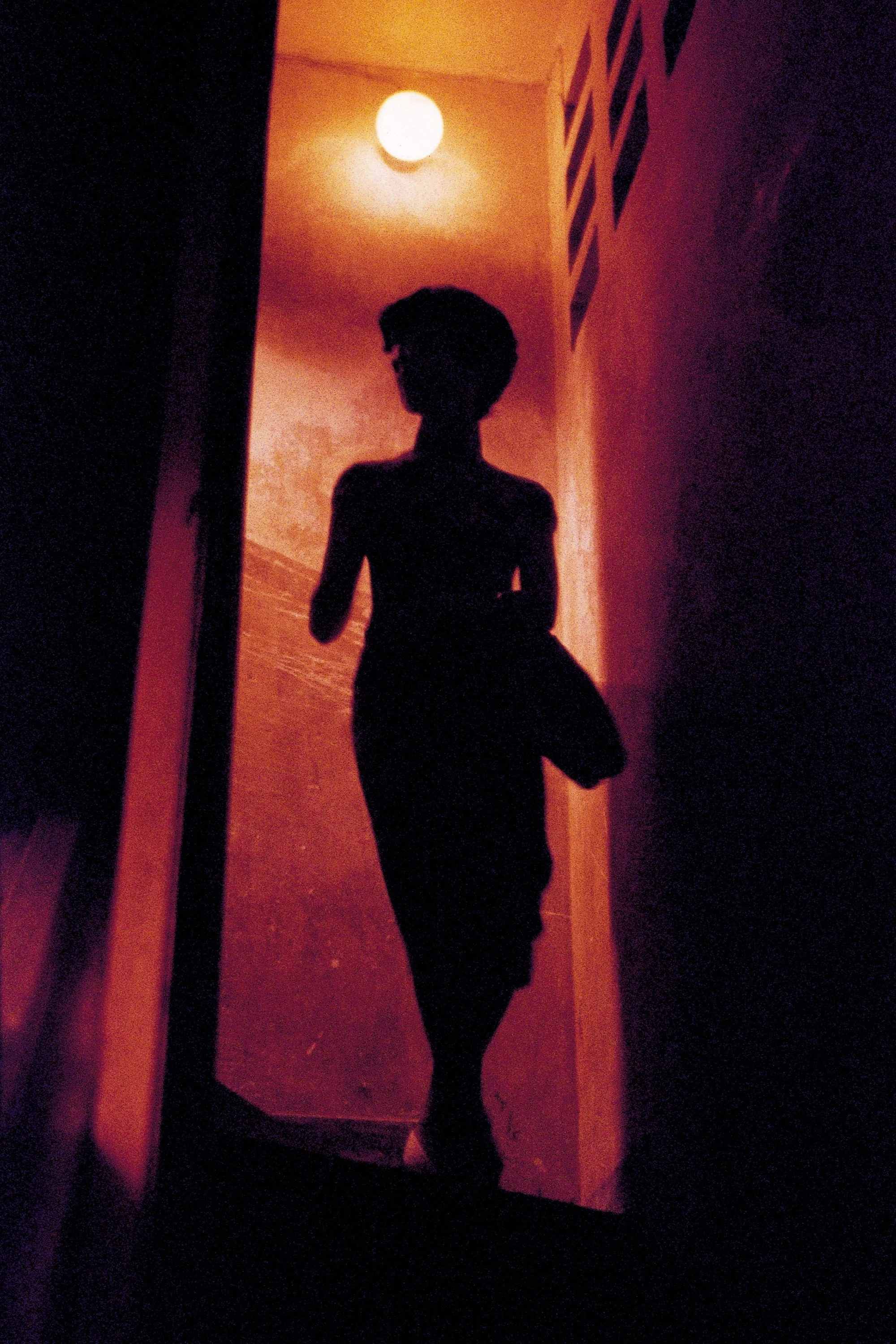 In the Mood for Love