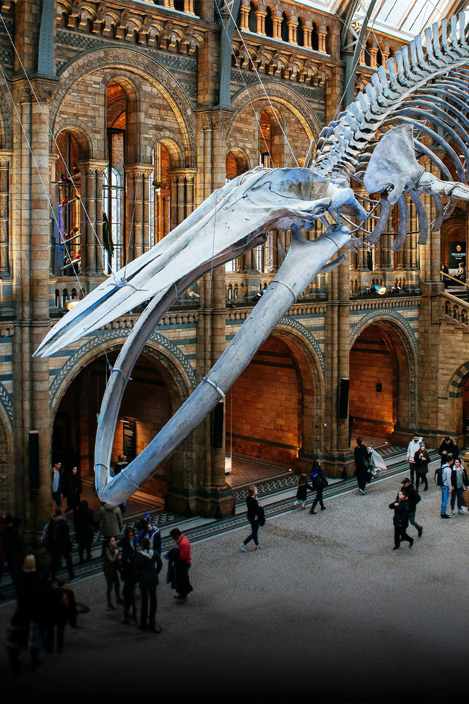 Natural History Museum: World of Wonder