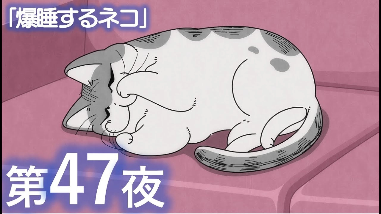 Nights with a Cat