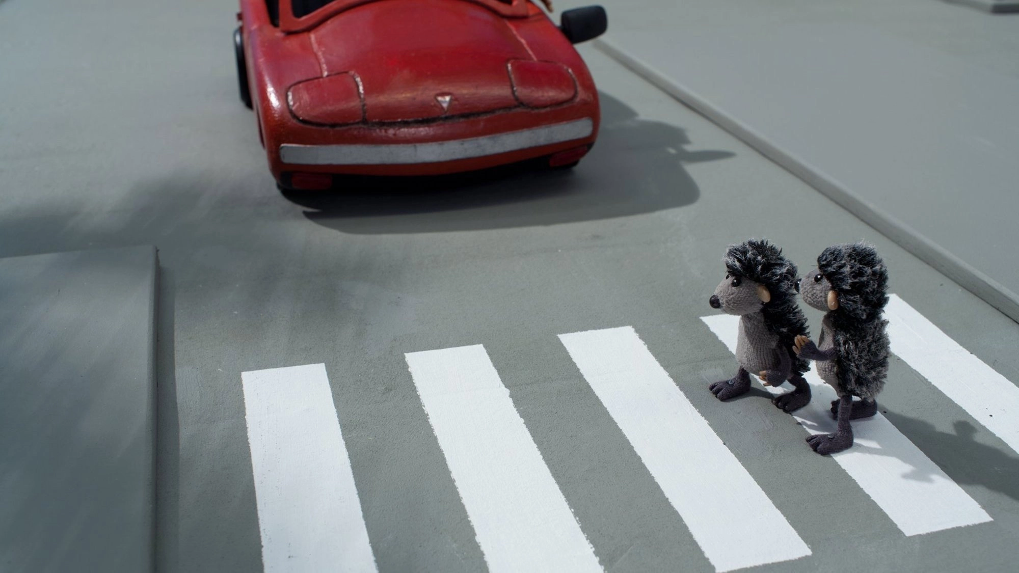Hedgehogs and The City