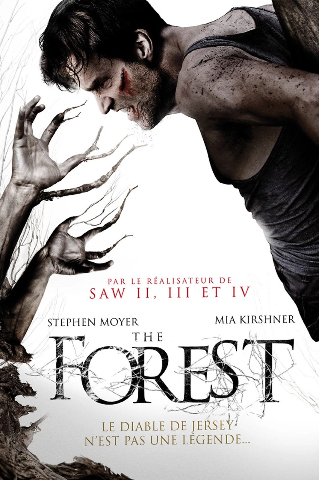 The Forest