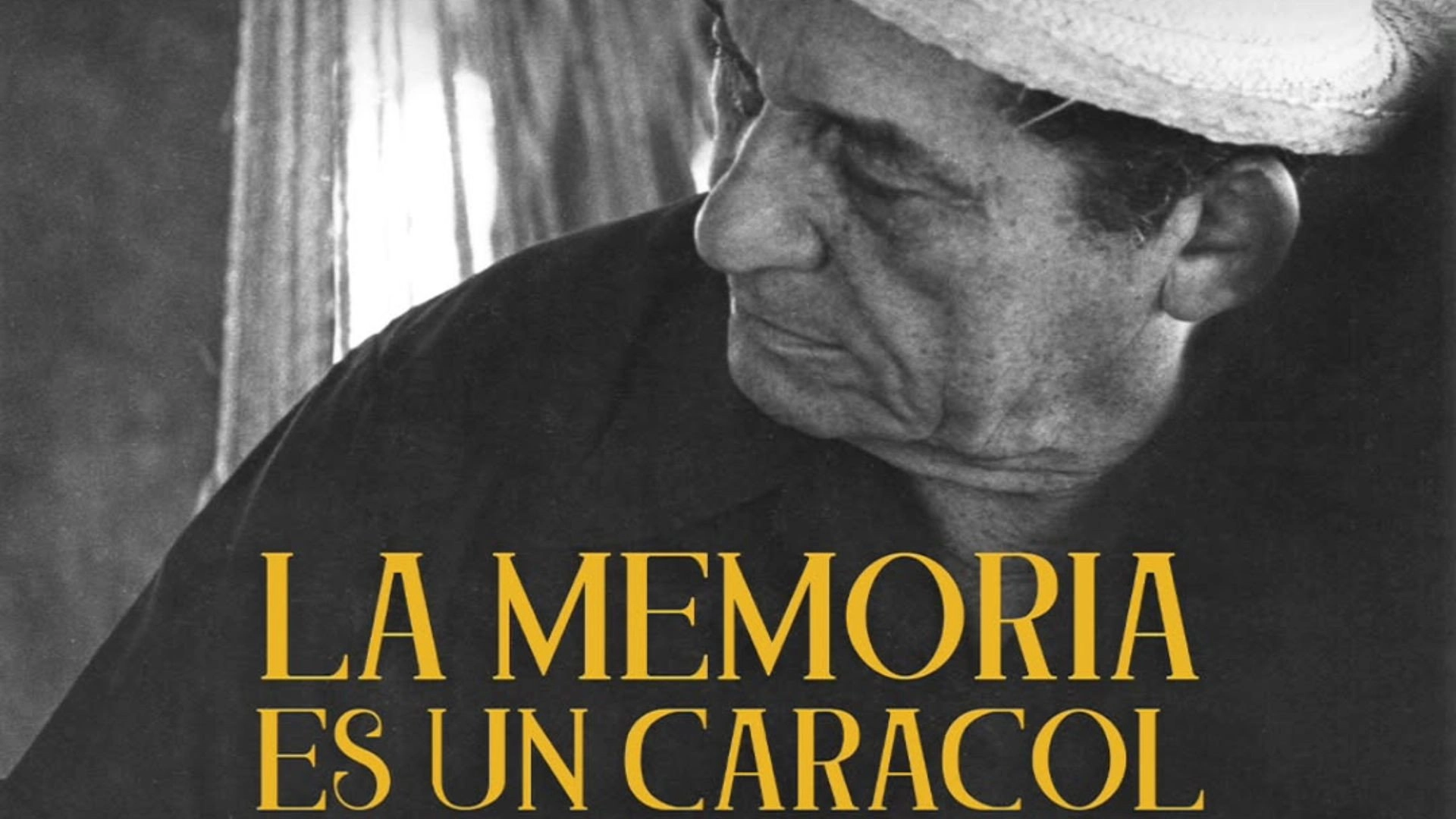 La Memoria es un Caracol