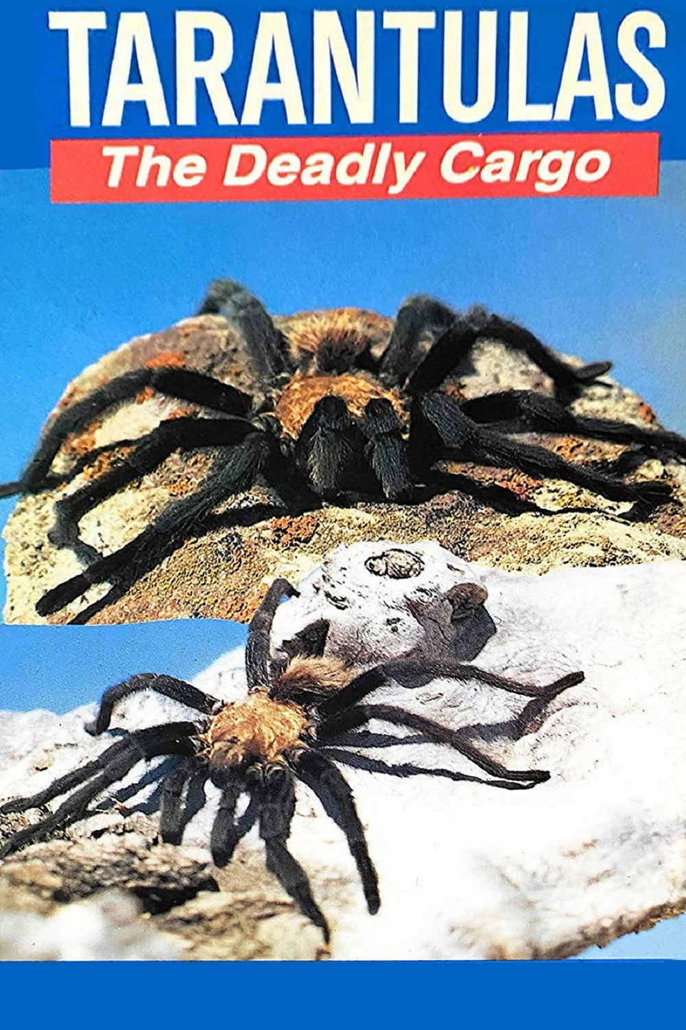 Tarantulas: The Deadly Cargo