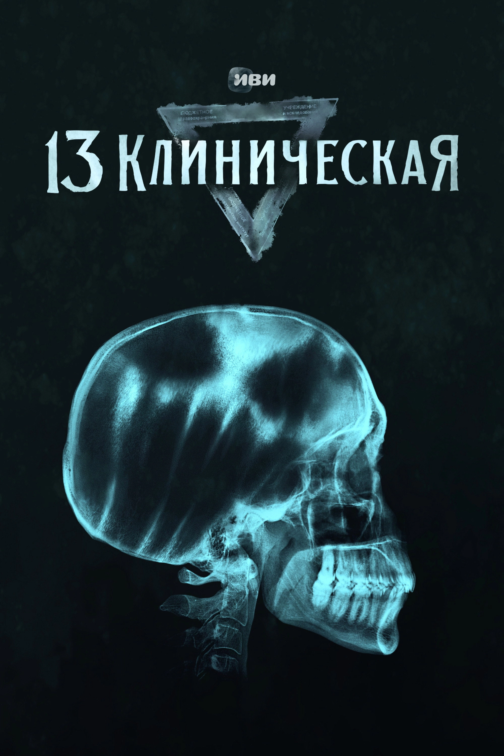 13 Klinicheskaya