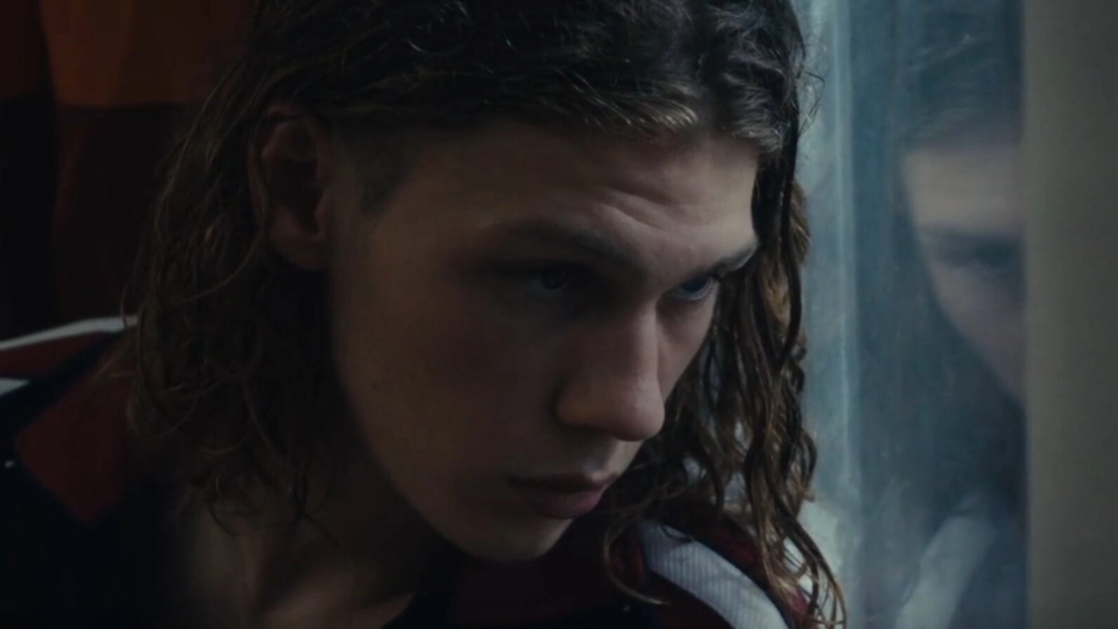 Wild Foxes