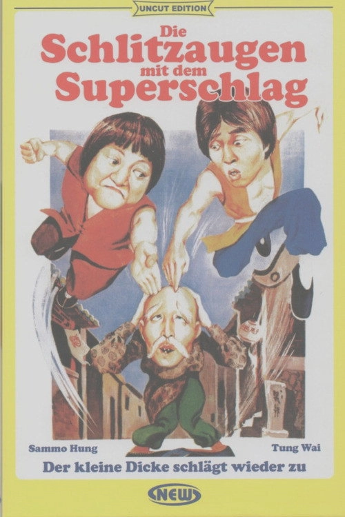 The Incredible Kung Fu Master