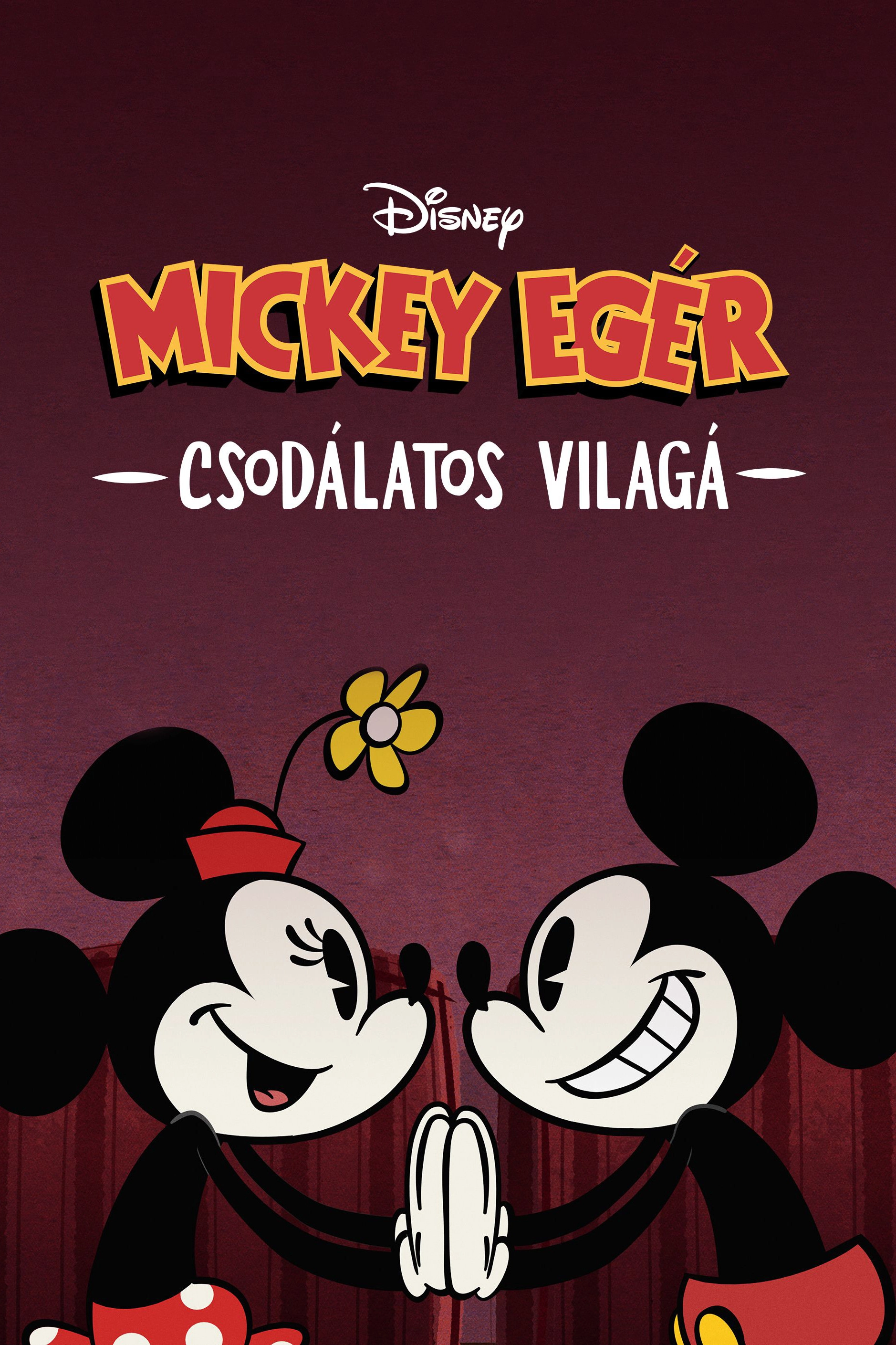 The Wonderful World of Mickey Mouse
