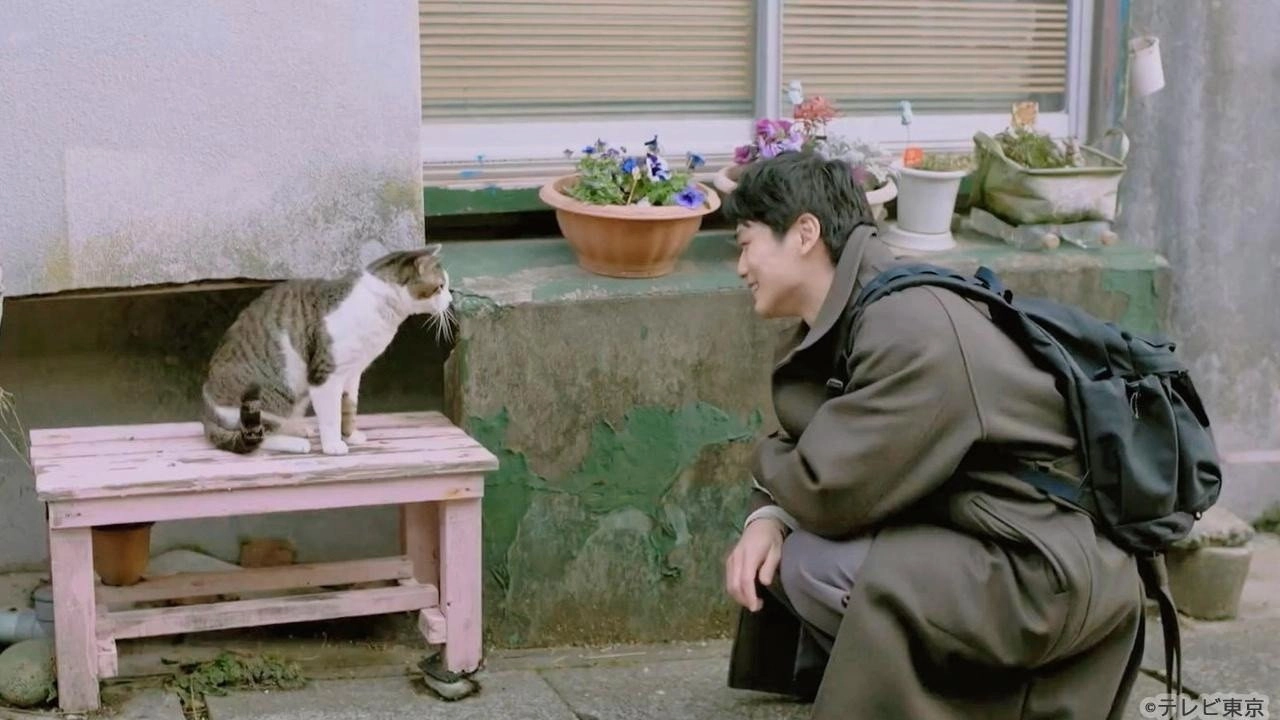 Tabi to Boku to Neko
