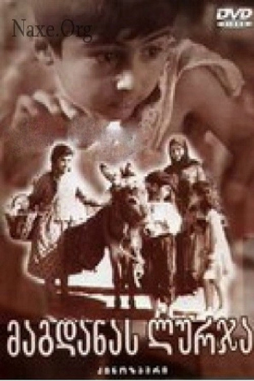 Magdana's Donkey