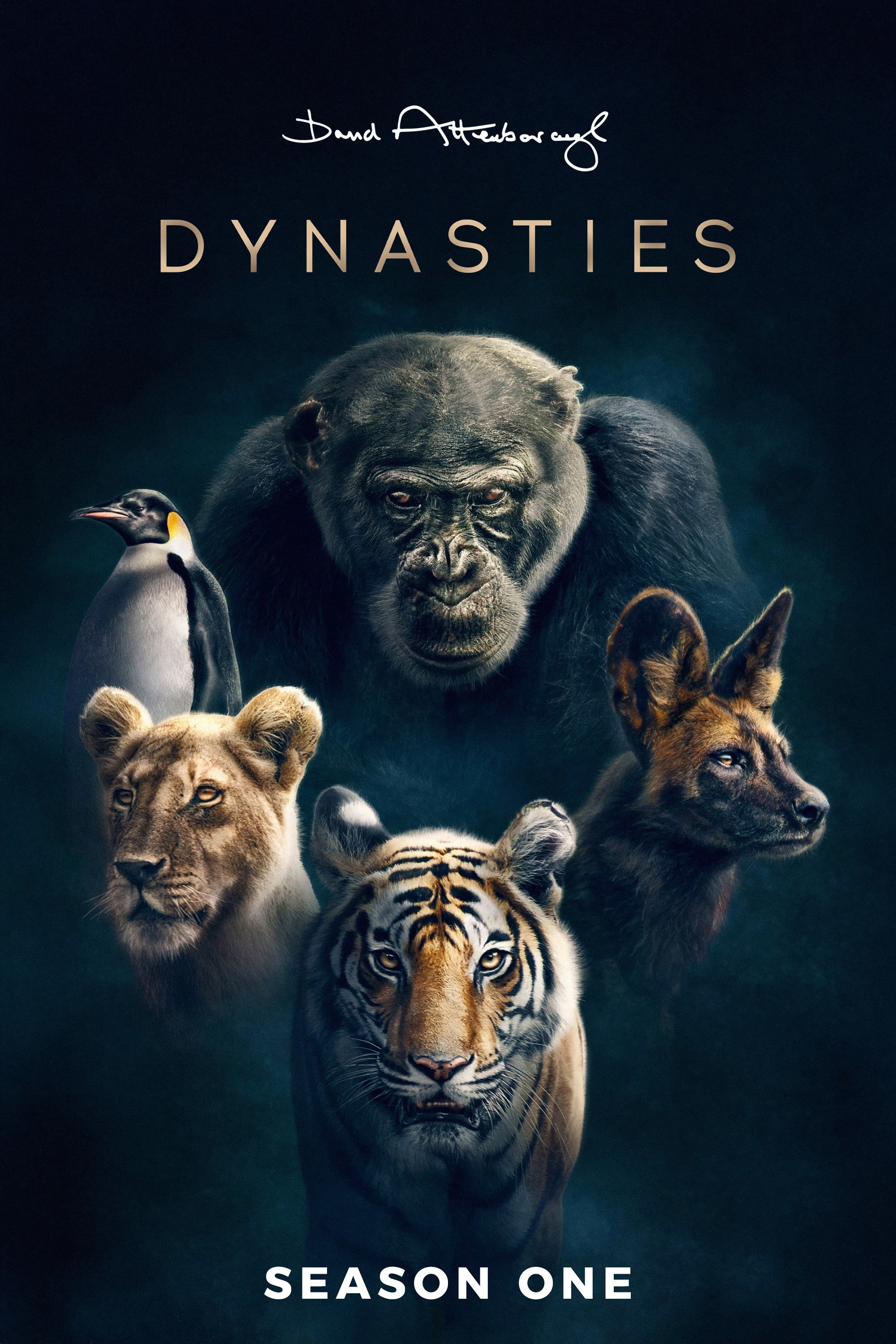 Dynasties