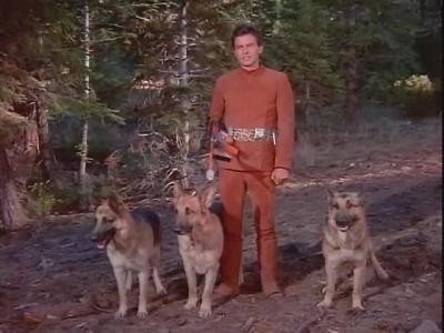 Logan's Run