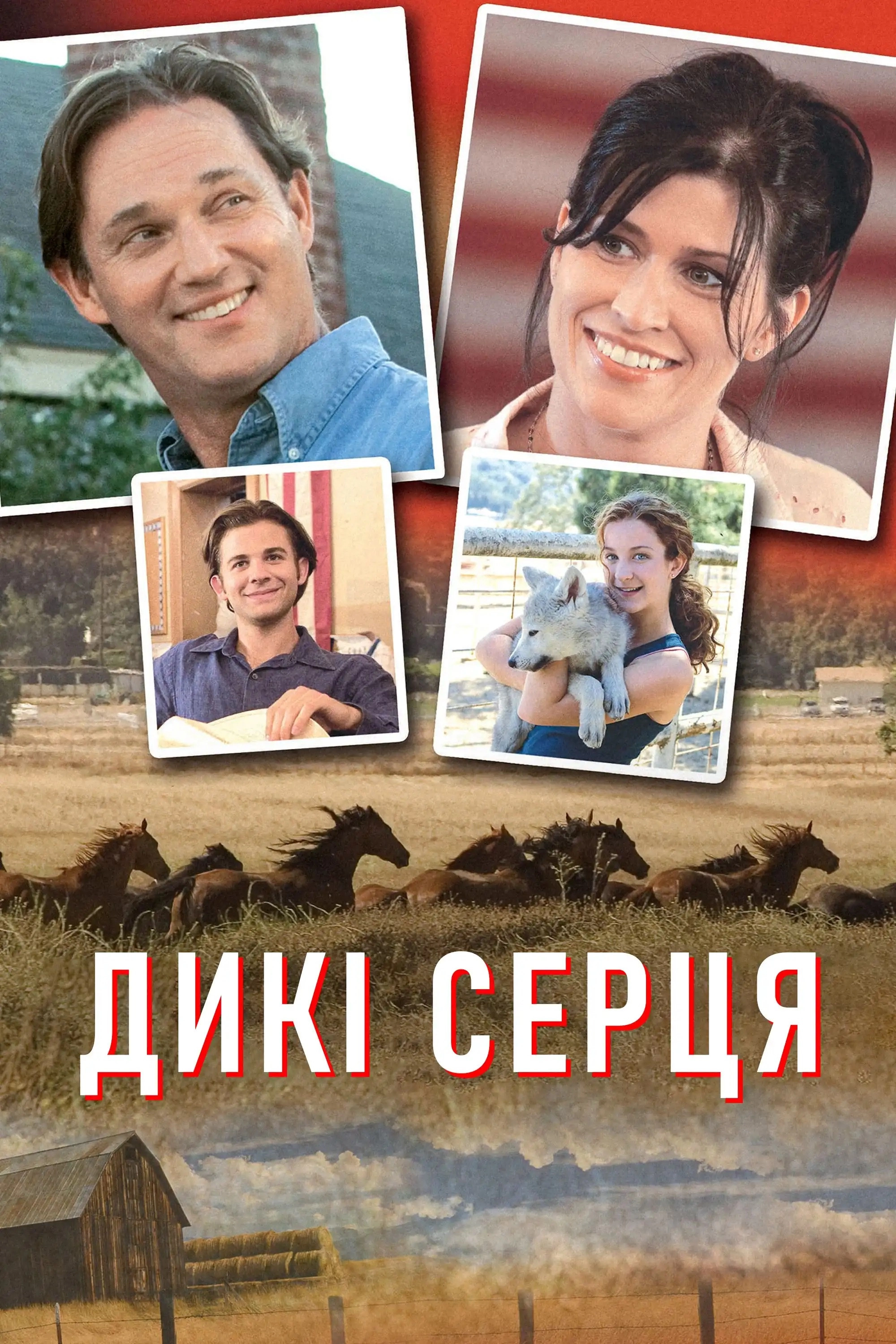 Wild Hearts