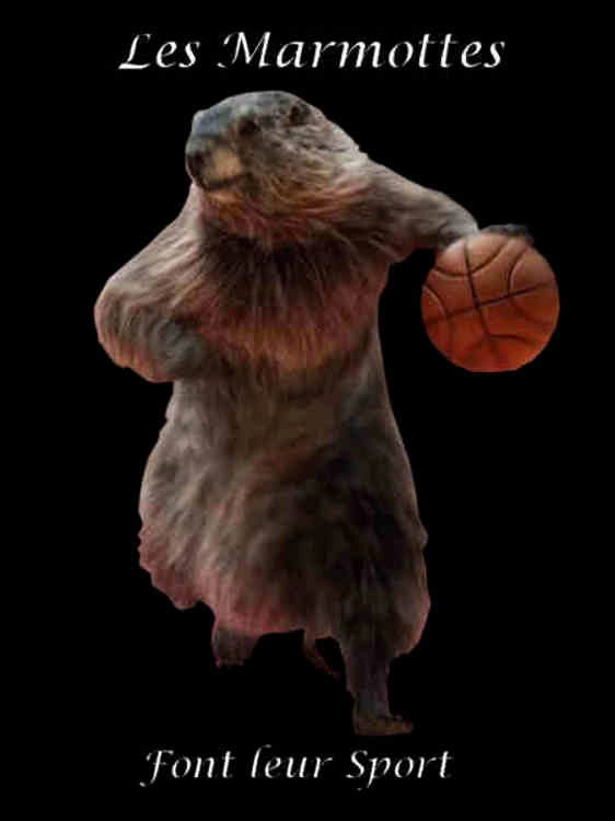 Les Marmottes