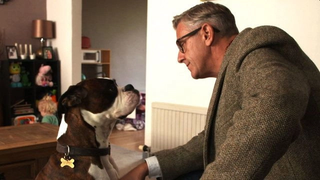 Dogs Behaving (Very) Badly