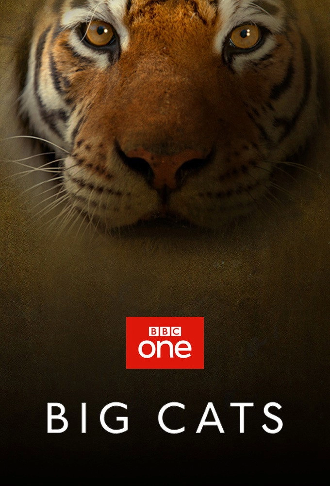 Big Cats