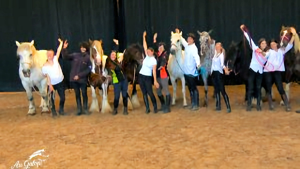 Au galop ! une saison à cheval