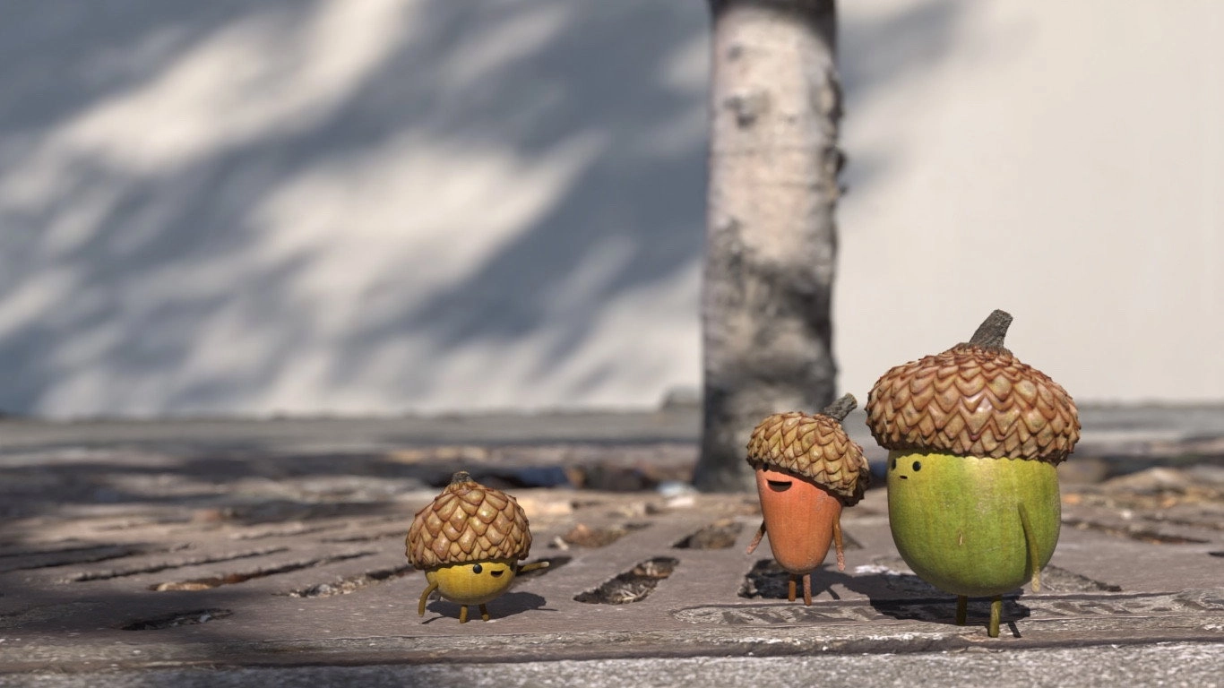 Acorns