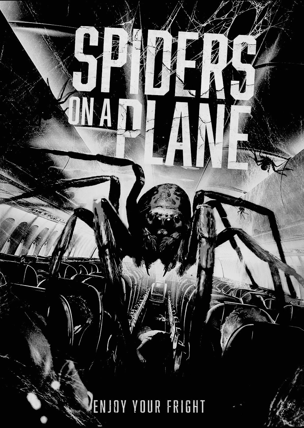 Spiders on a Plane