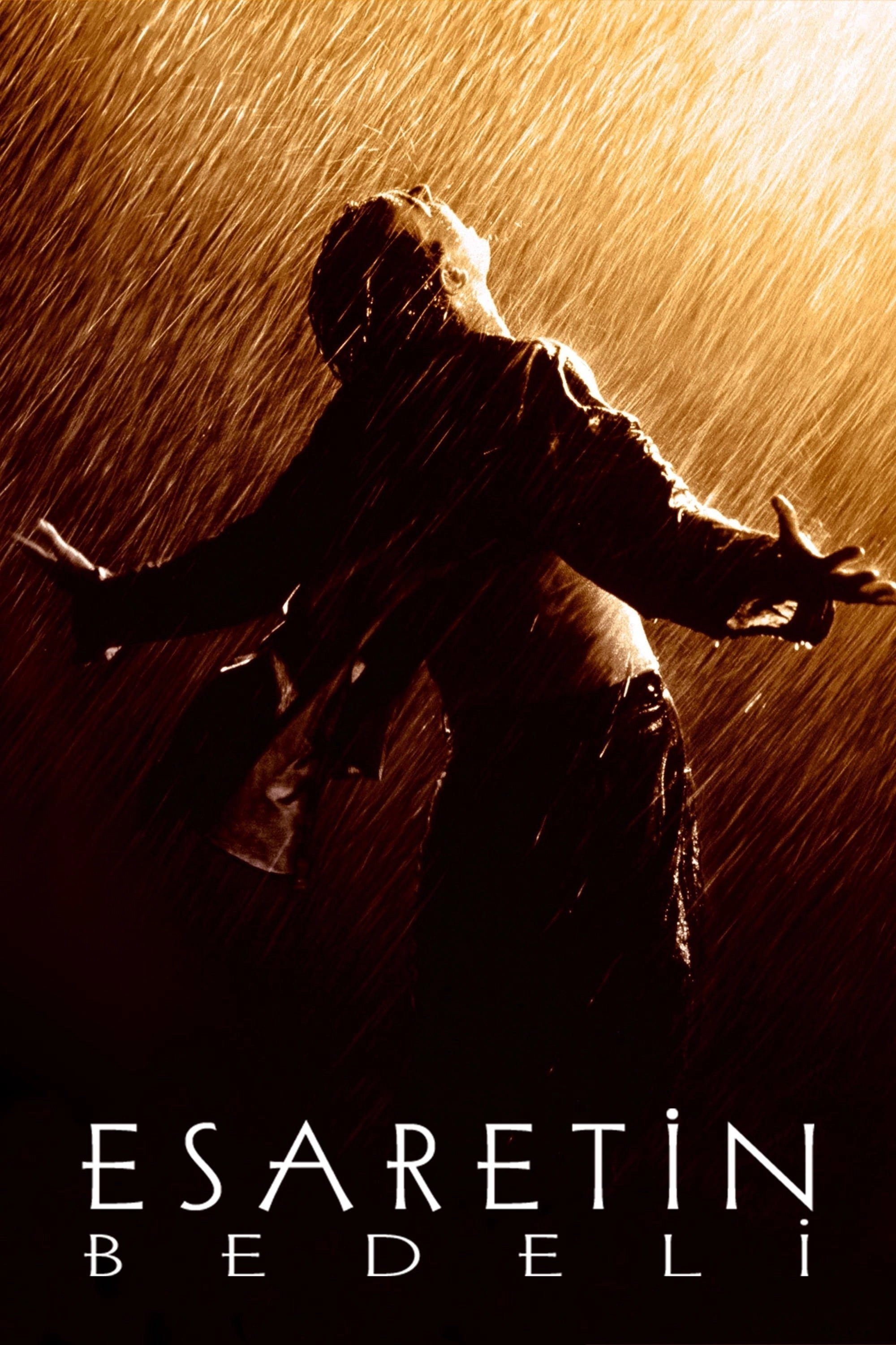 The Shawshank Redemption