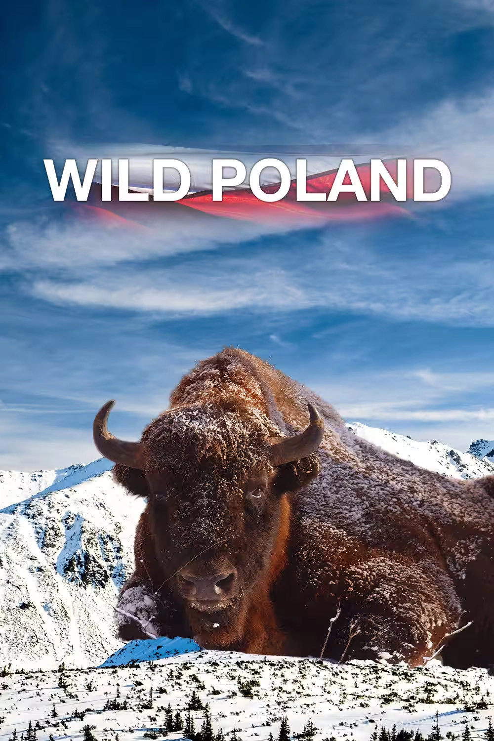 Wild Poland