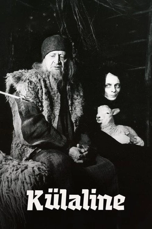 The Visitor