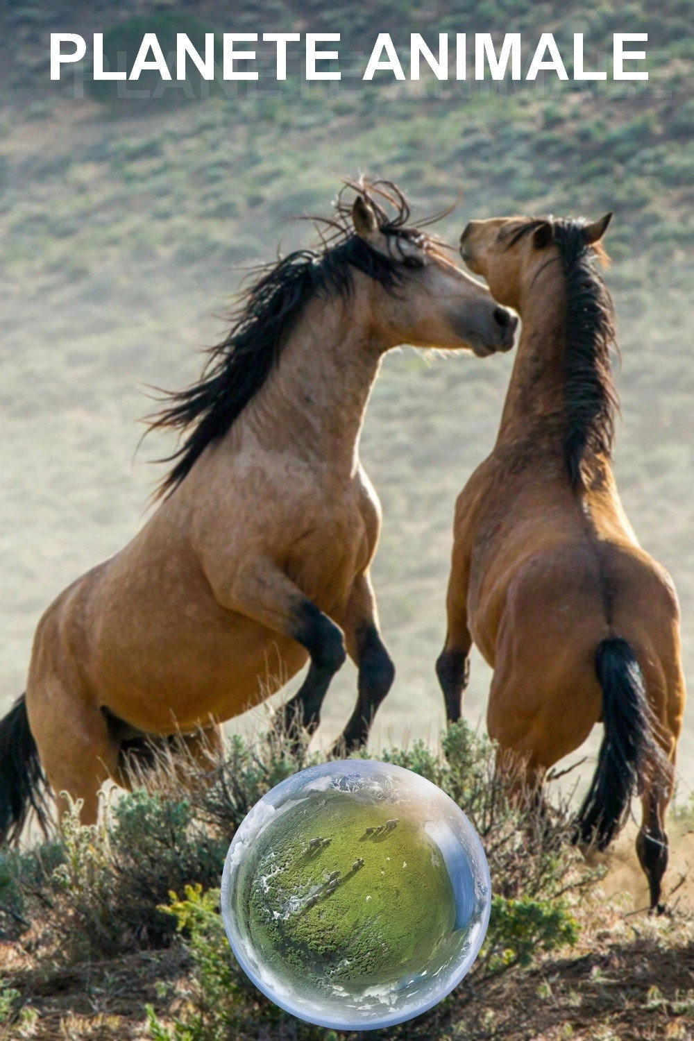 Planet Earth II