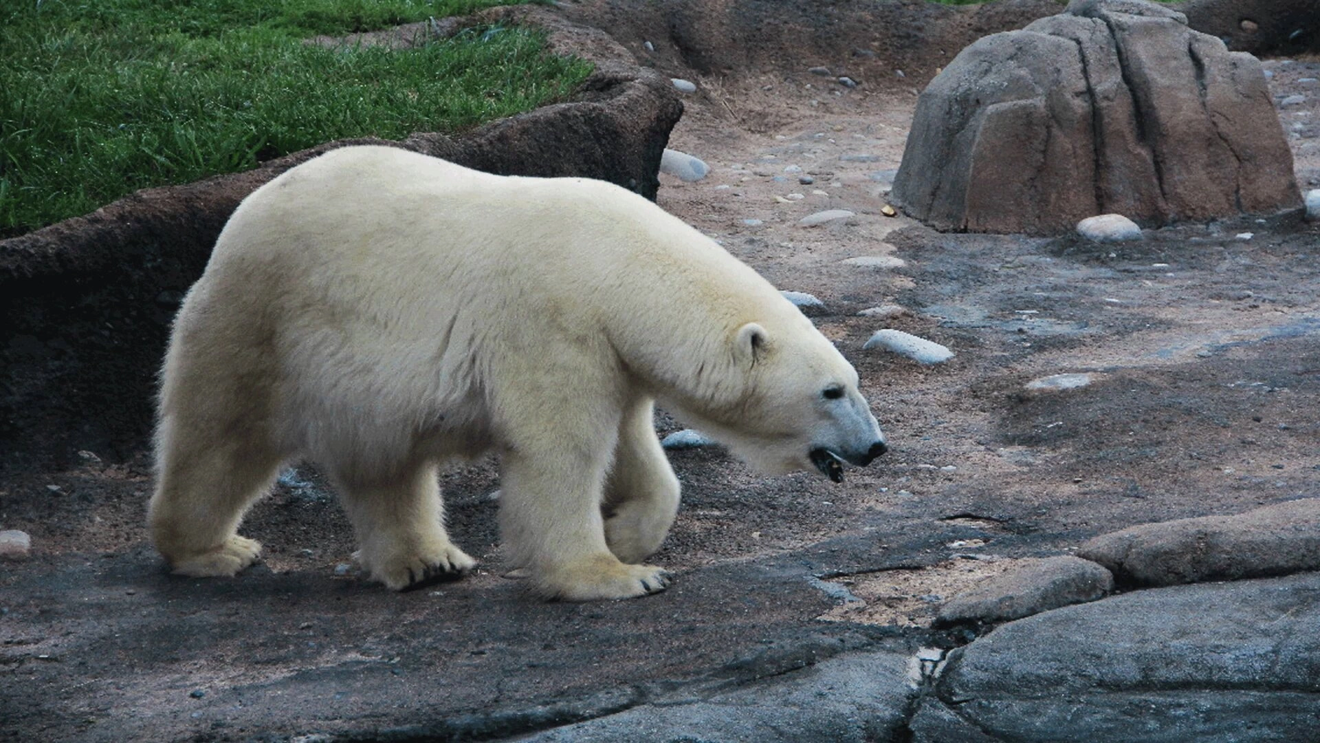 Secrets of the Zoo