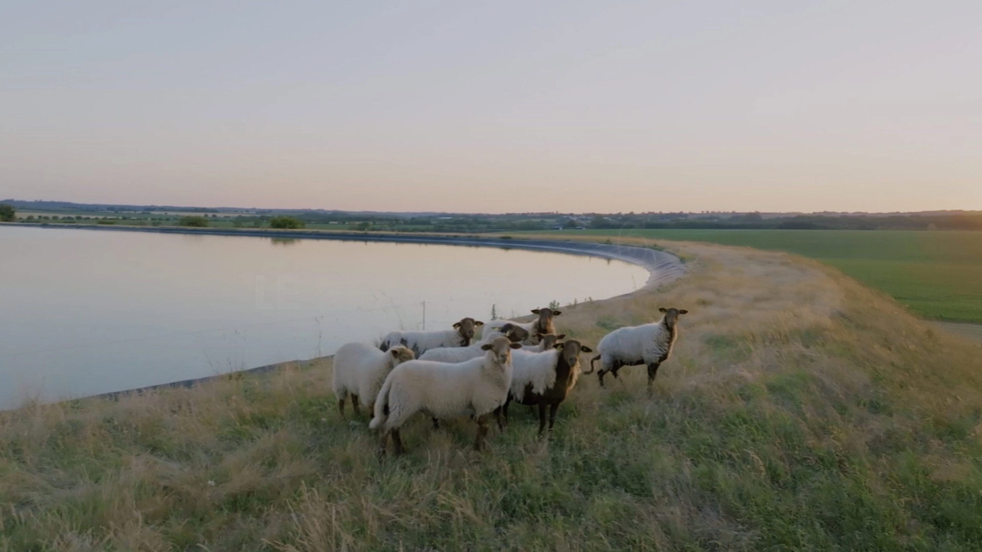 Monde agricole : la fracture de l’eau