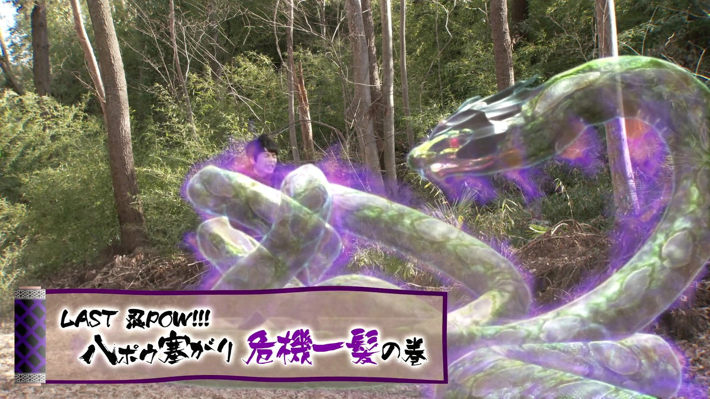RIDER TIME: Kamen Rider Shinobi