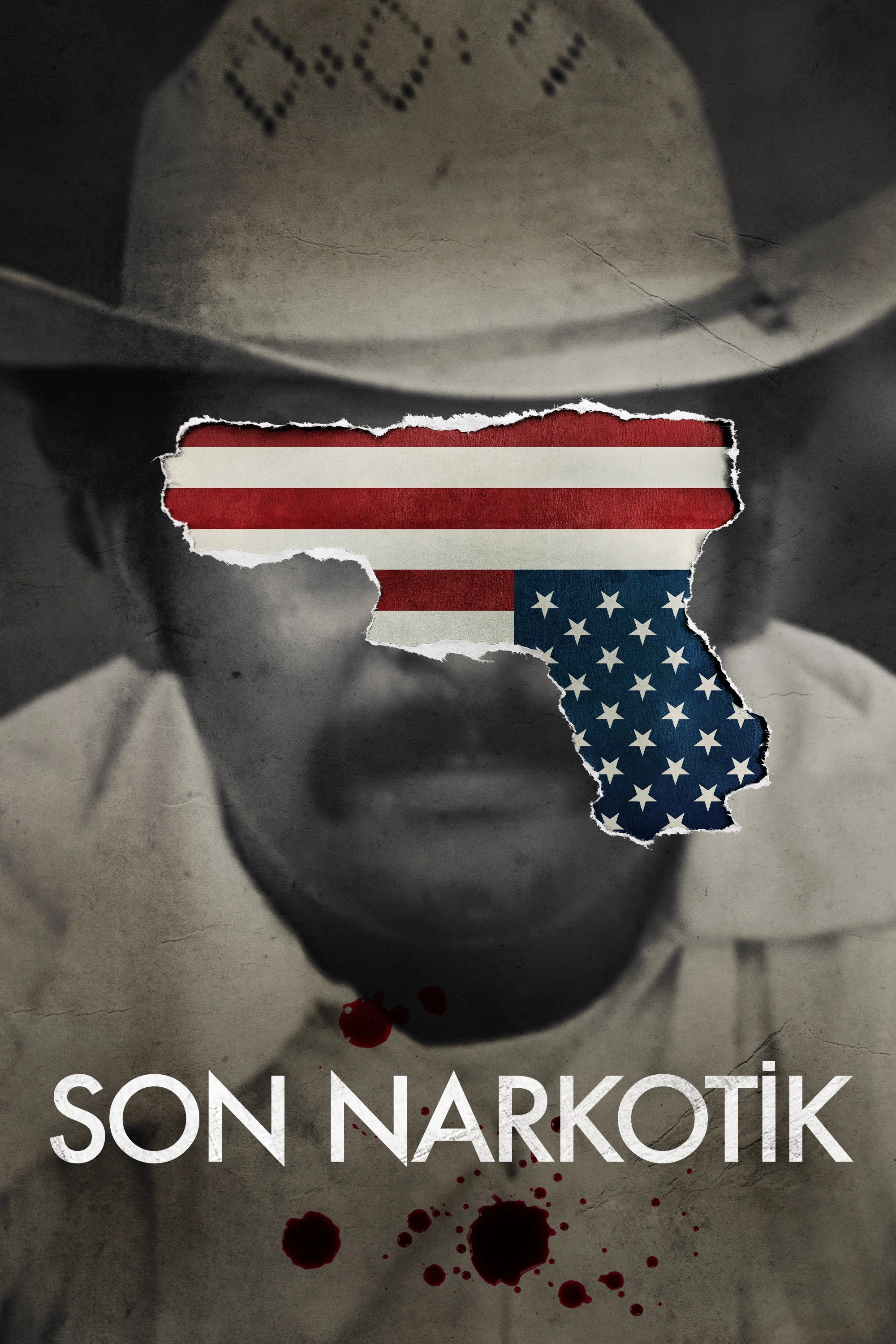 The Last Narc