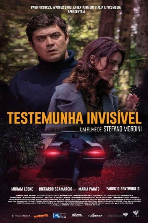 The Invisible Witness