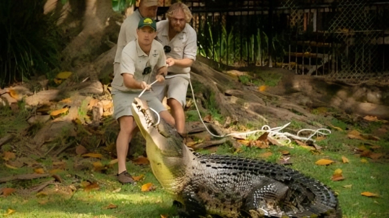 Crikey! It's the Irwins