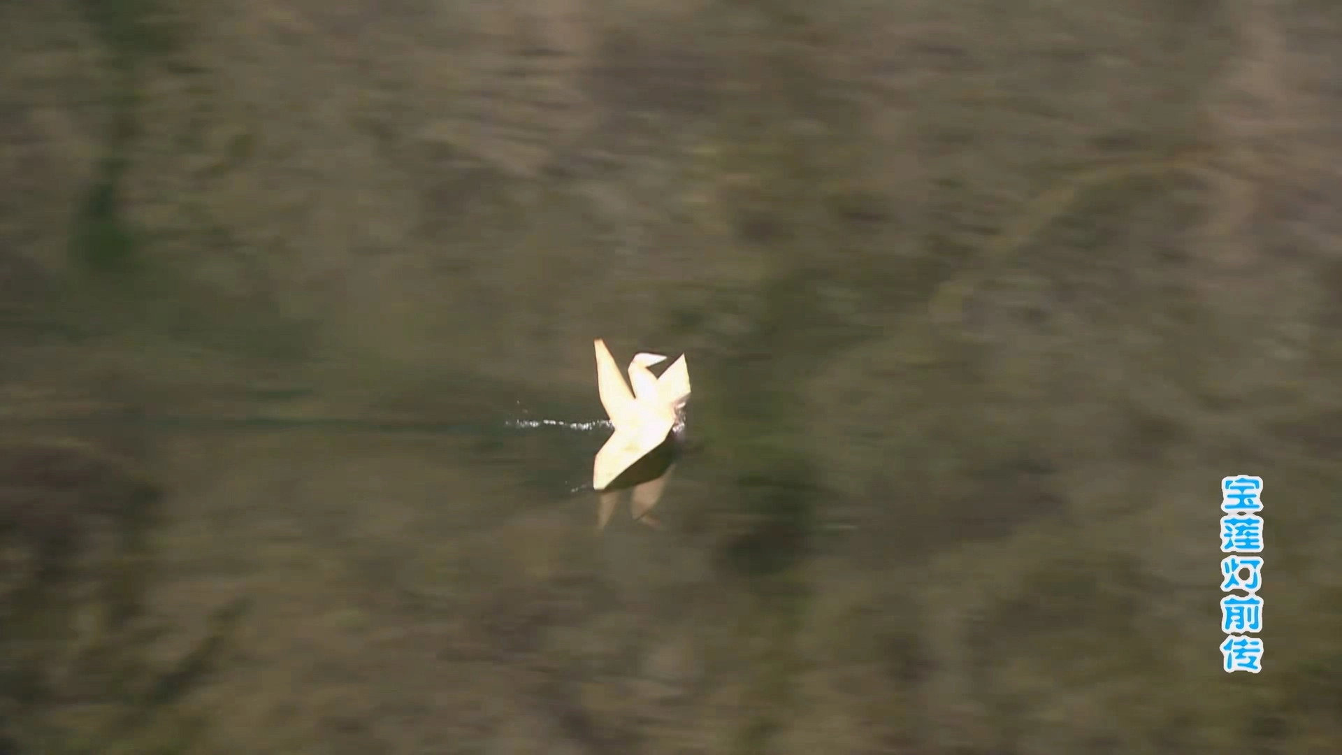 The Prelude of Lotus Lantern