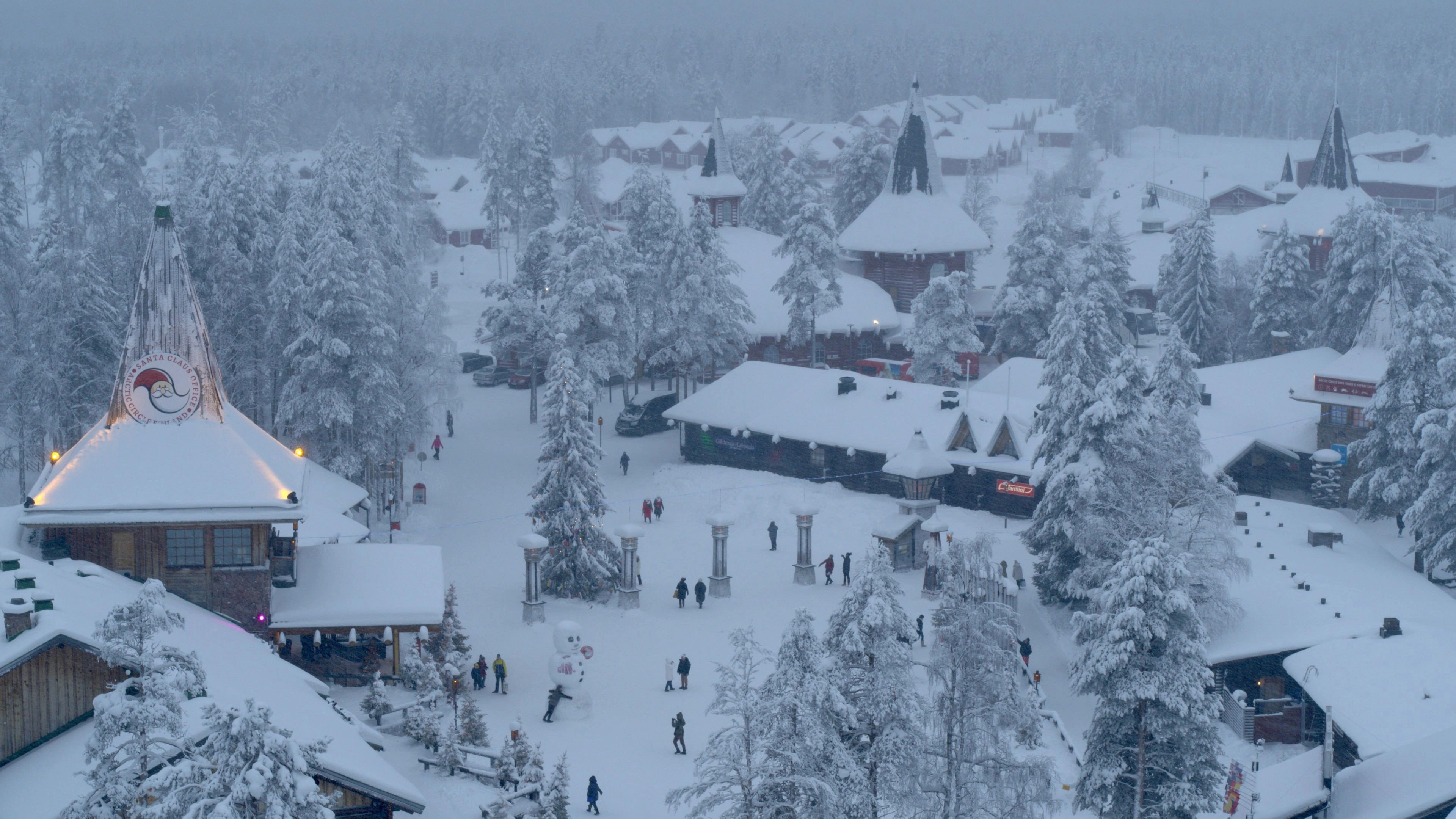 Wild Nordic