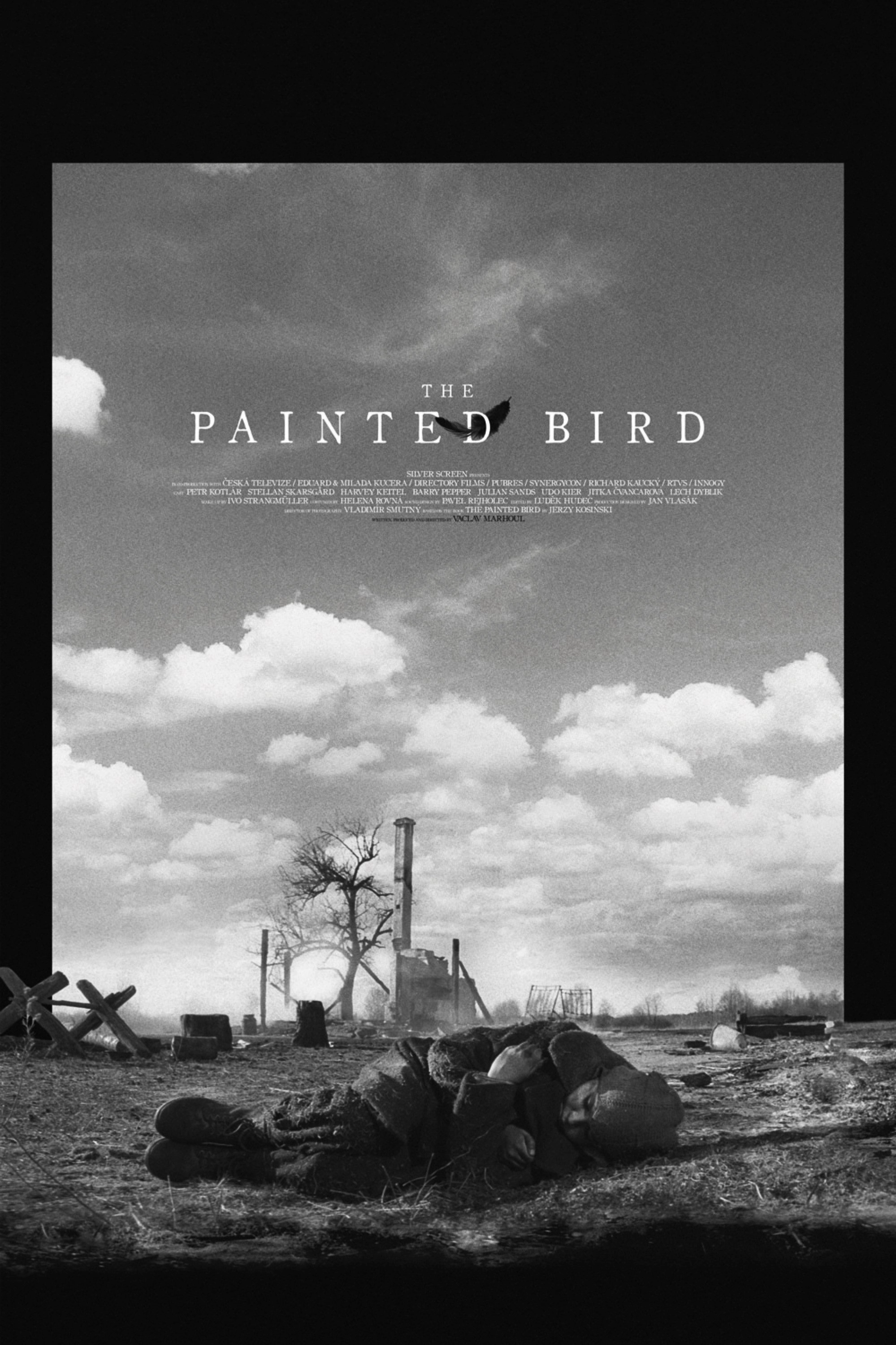 The Painted Bird