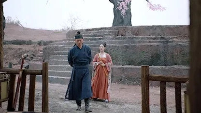 Qing Qing Zi Jin