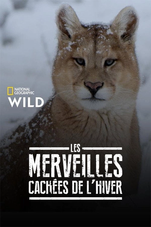 Winter's Hidden Wonders