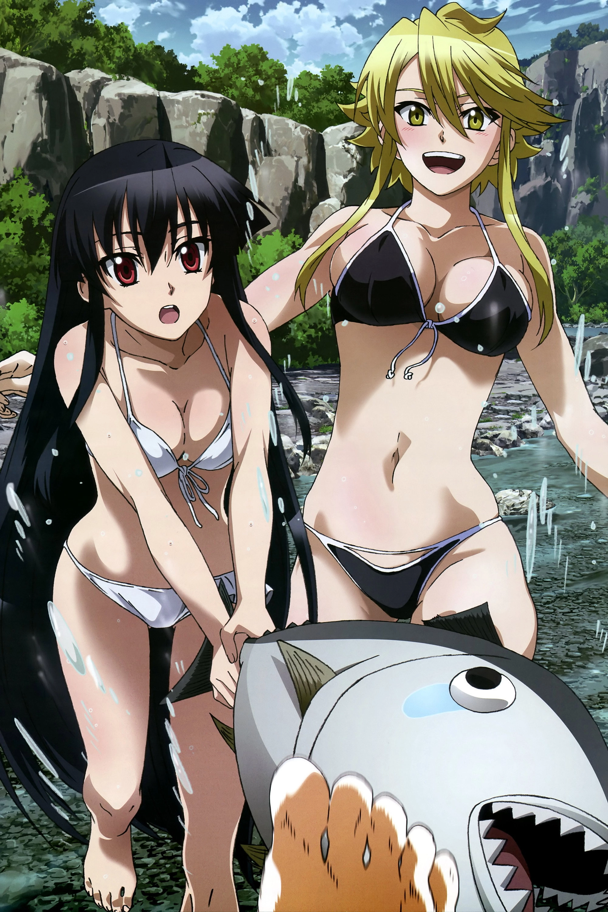 Akame ga Kill!