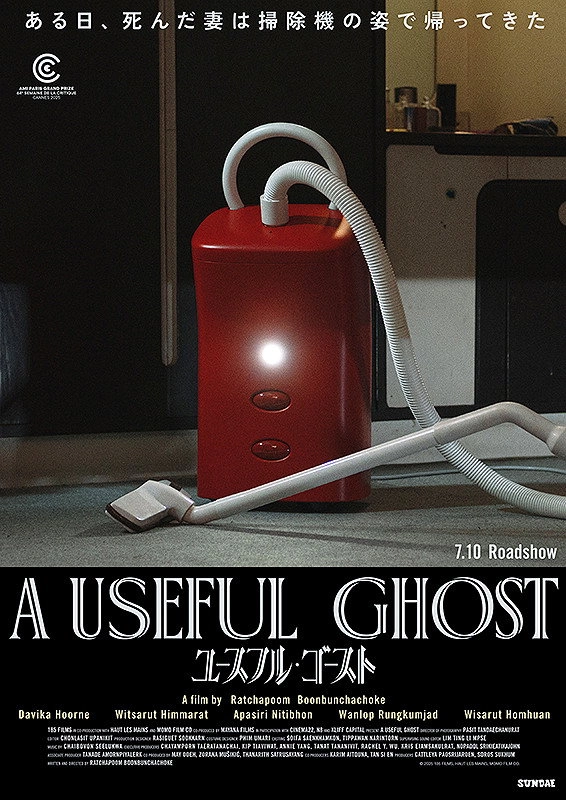 A Useful Ghost
