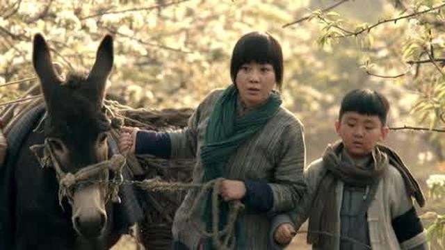 Wang Dahua Revolutionary Career
