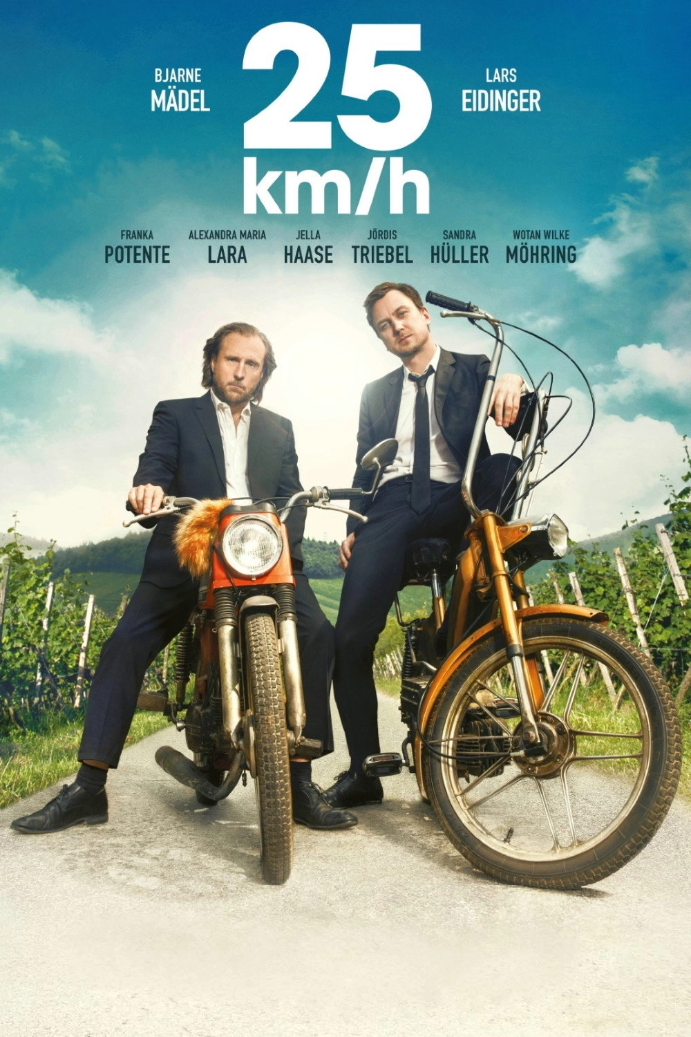 25 km/h