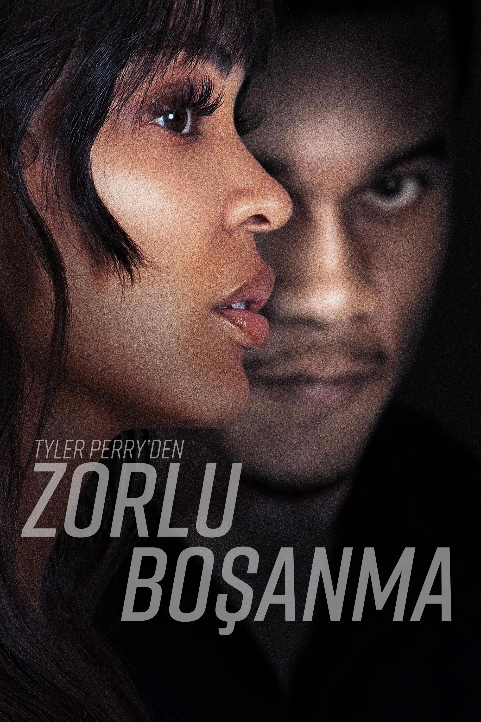 Tyler Perry's Divorce in the Black