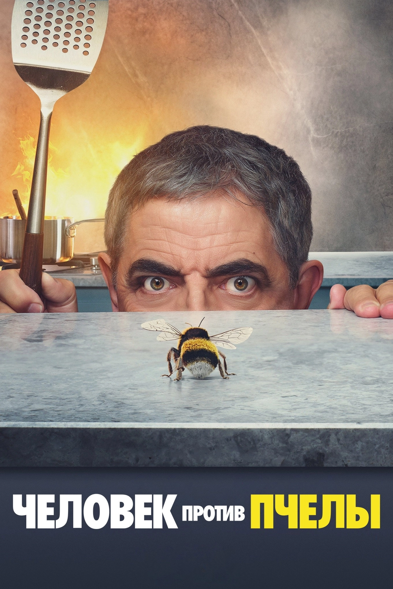 Man vs Bee