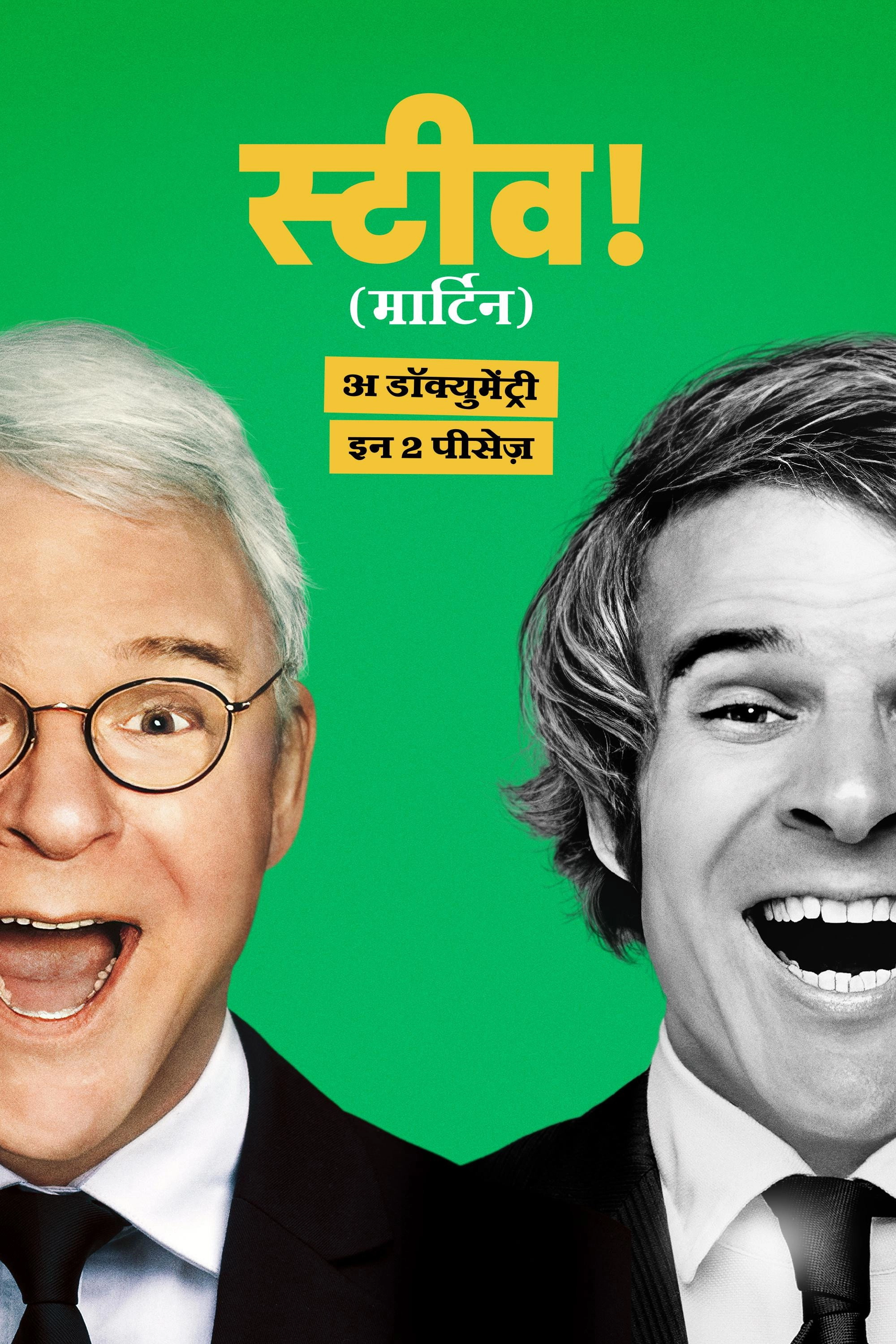 STEVE! (martin) a documentary in 2 pieces