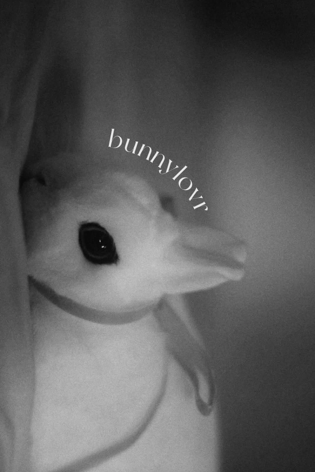 Bunnylovr