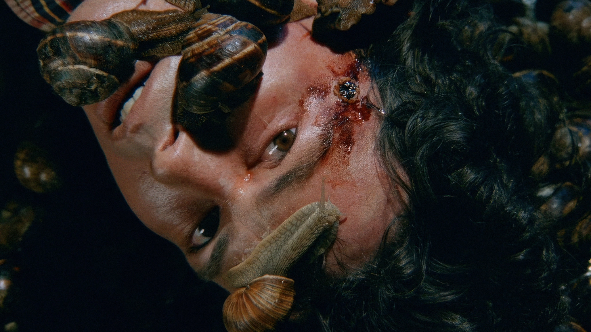 Snails in the Head