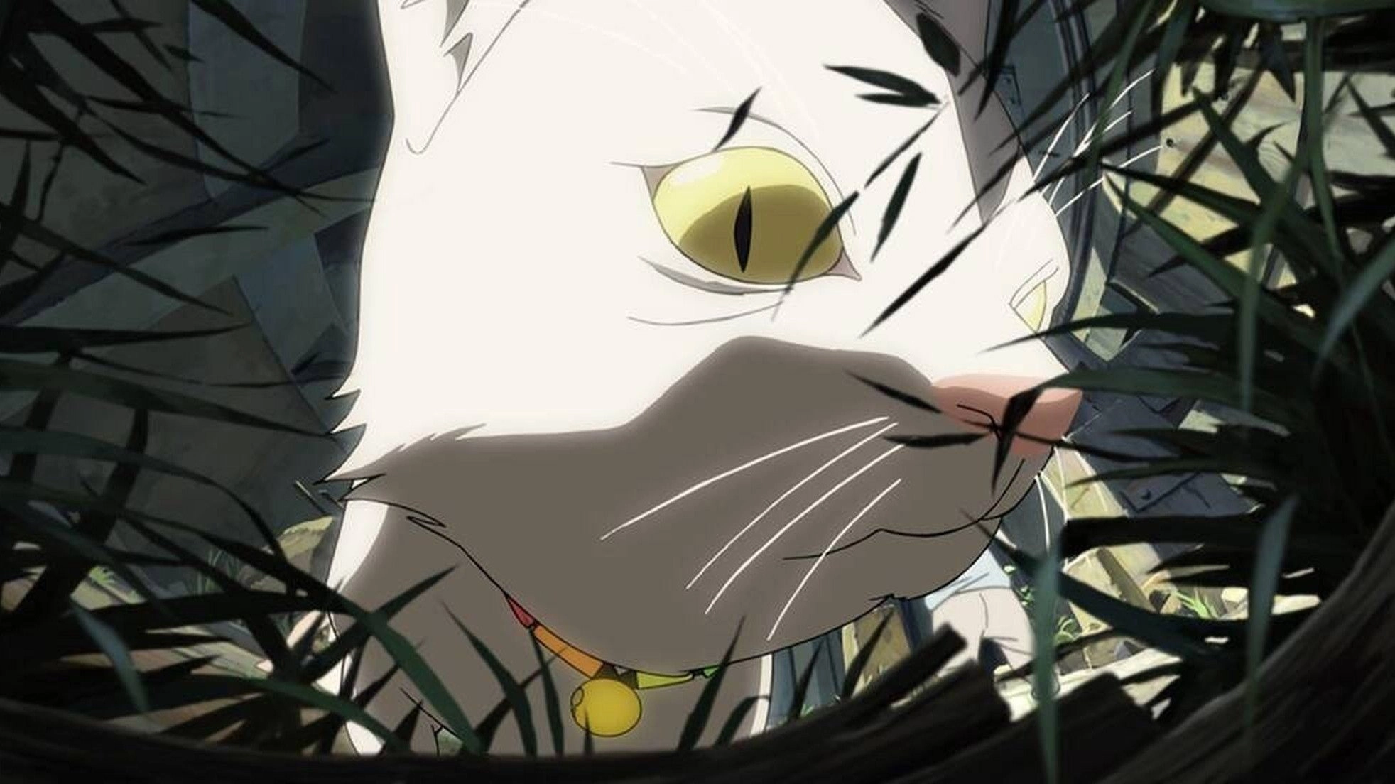 The Animatrix