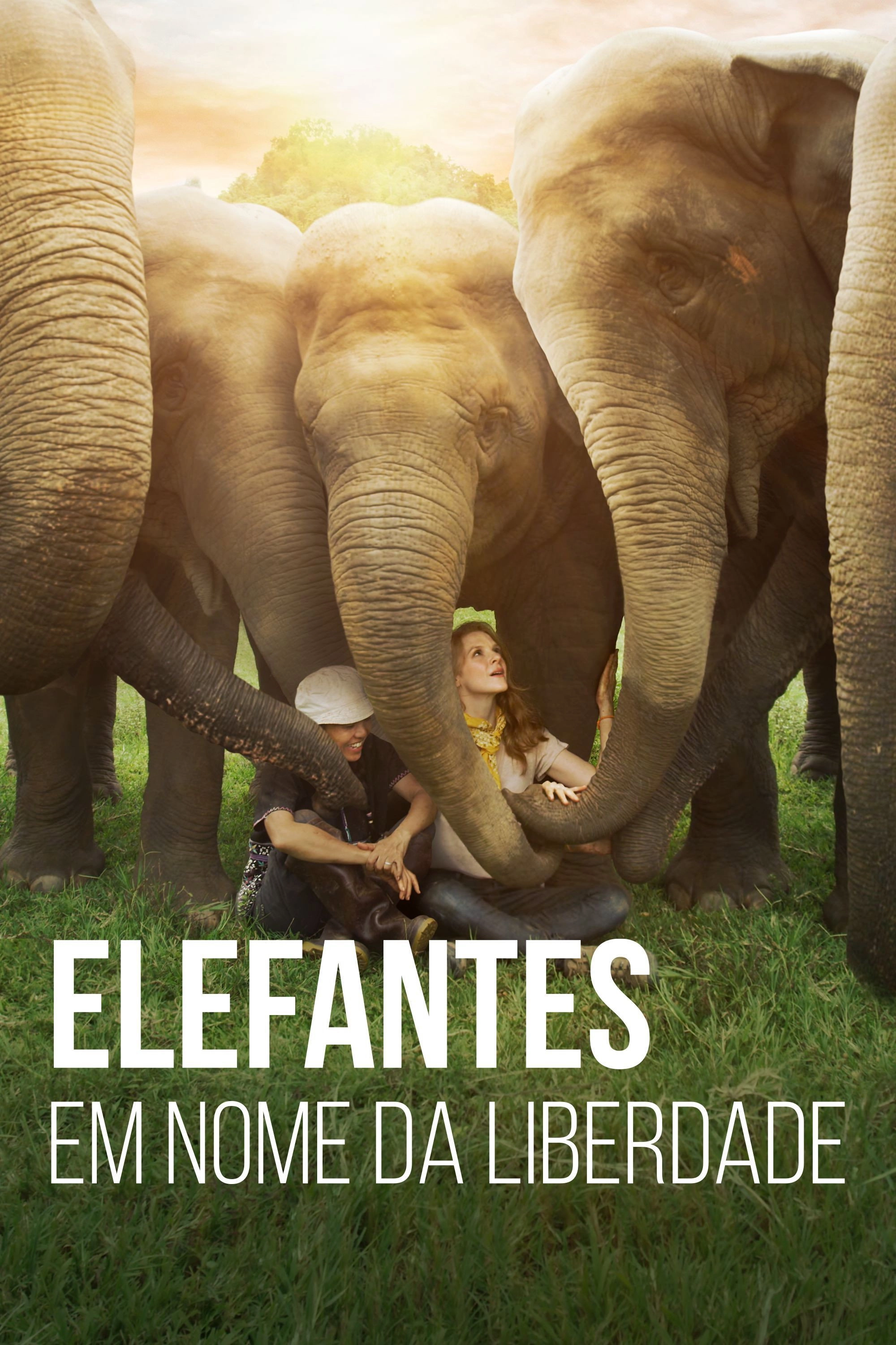 Love & Bananas: An Elephant Story
