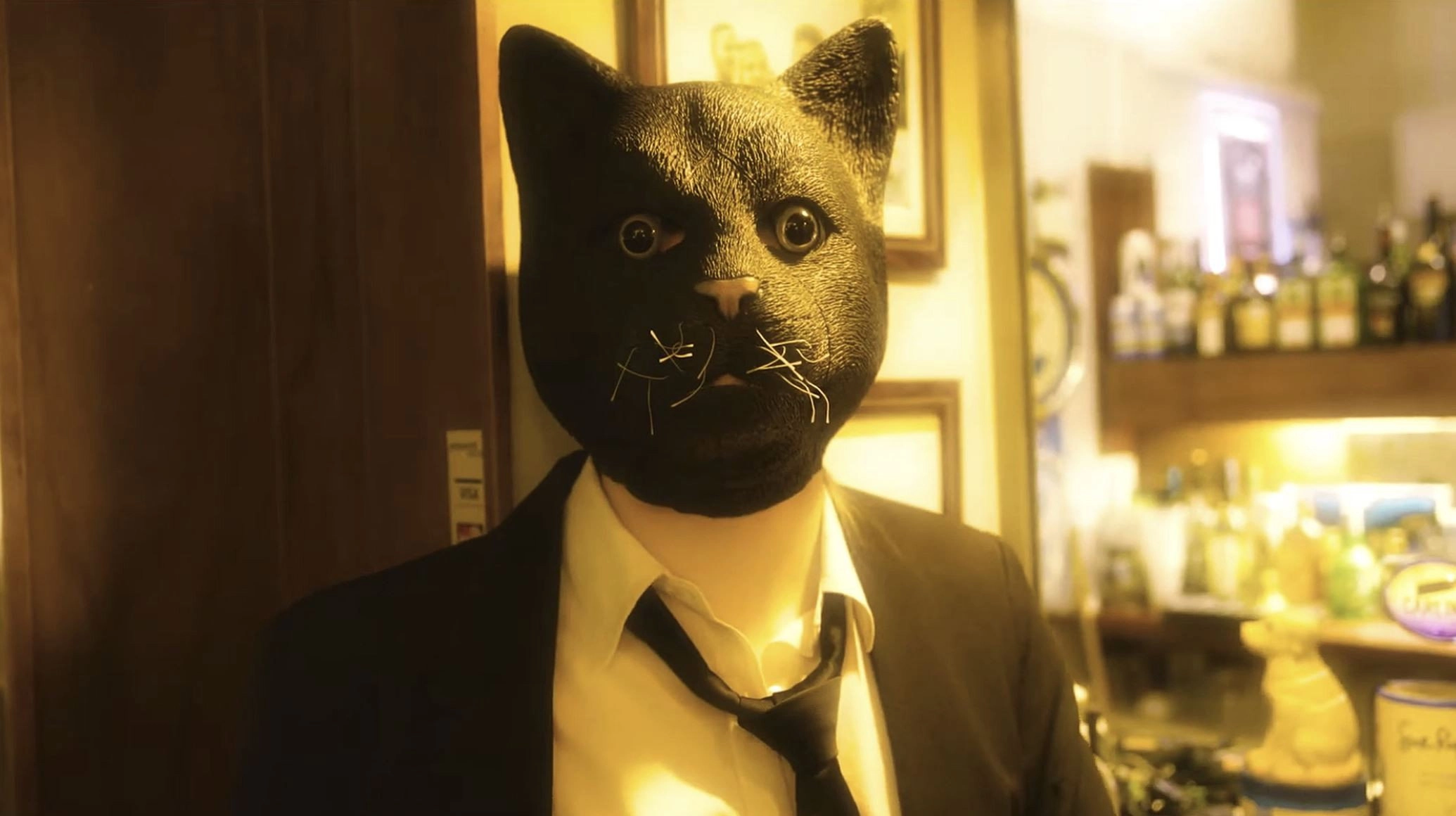 Cat Face