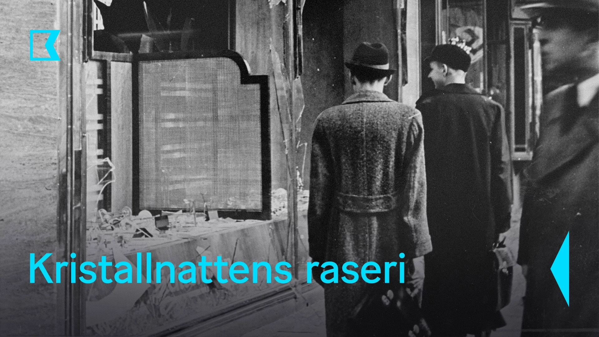 La Nuit de cristal : Les pogroms de novembre